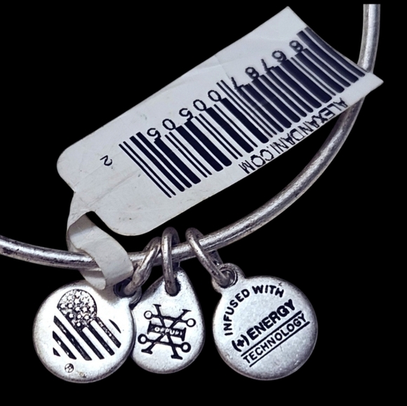 NWT Alex and Ani Silver World Peace Charm Bangle w/ Crystal - Picture 2 of 2